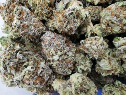 AAAA Blueberry Kush