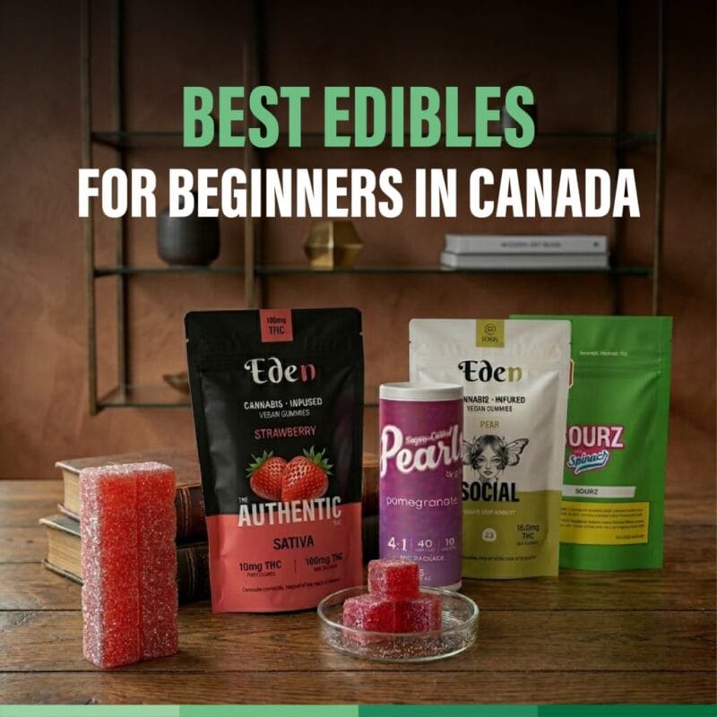 Best Edibles for Beginners in Canada 1024x1024