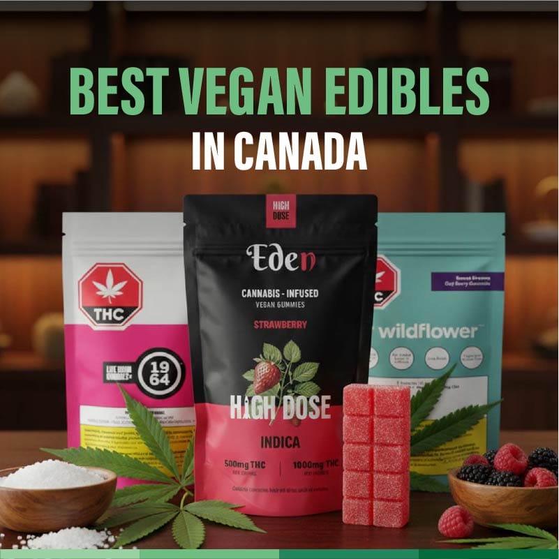 Best vegan edibles Canada