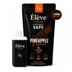 Disposable Vape (3g) Pineapple Express