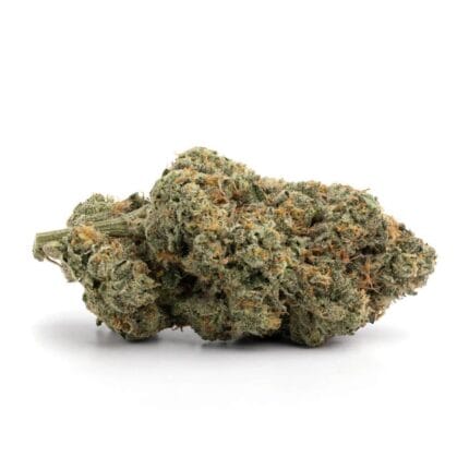 Gelato 2