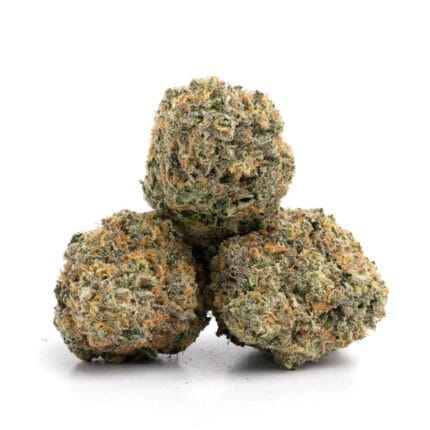 Gelato 3