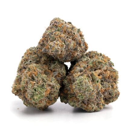 Grand Daddy Purple 7