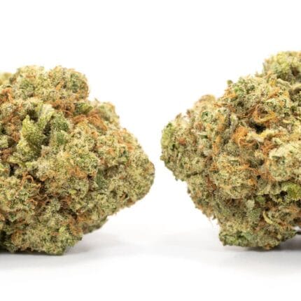 Lemon Gelato 2