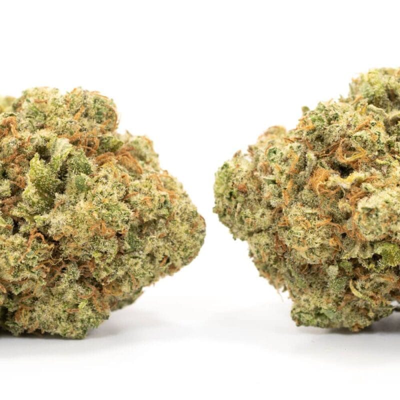 Lemon Gelato 2