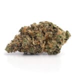 Purple Haze 2 4