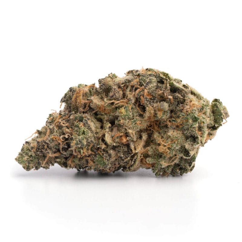 Purple Haze 2 4