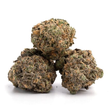Purple Haze 7