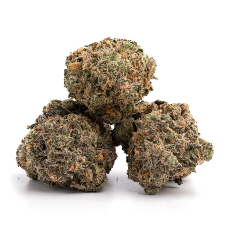 Purple Haze 7
