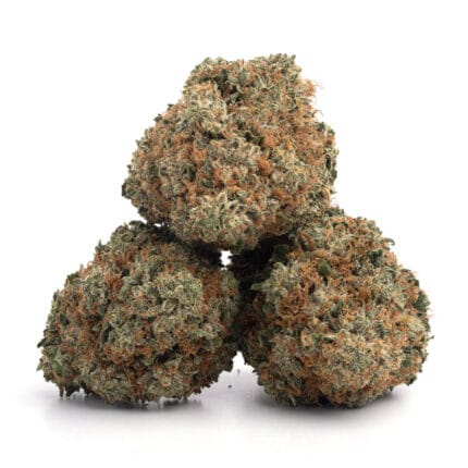 amnesia haze 3