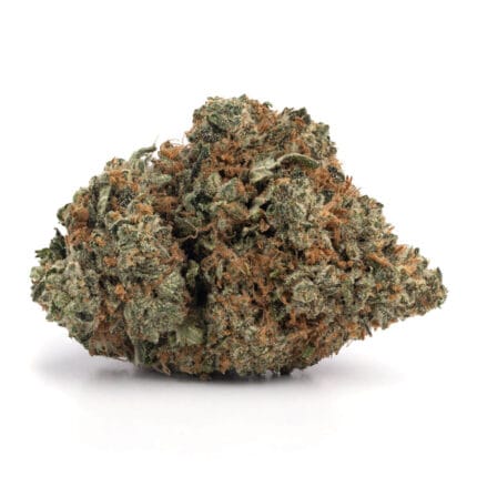 amnesia haze