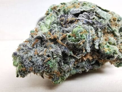 amnesia haze sativa weed1