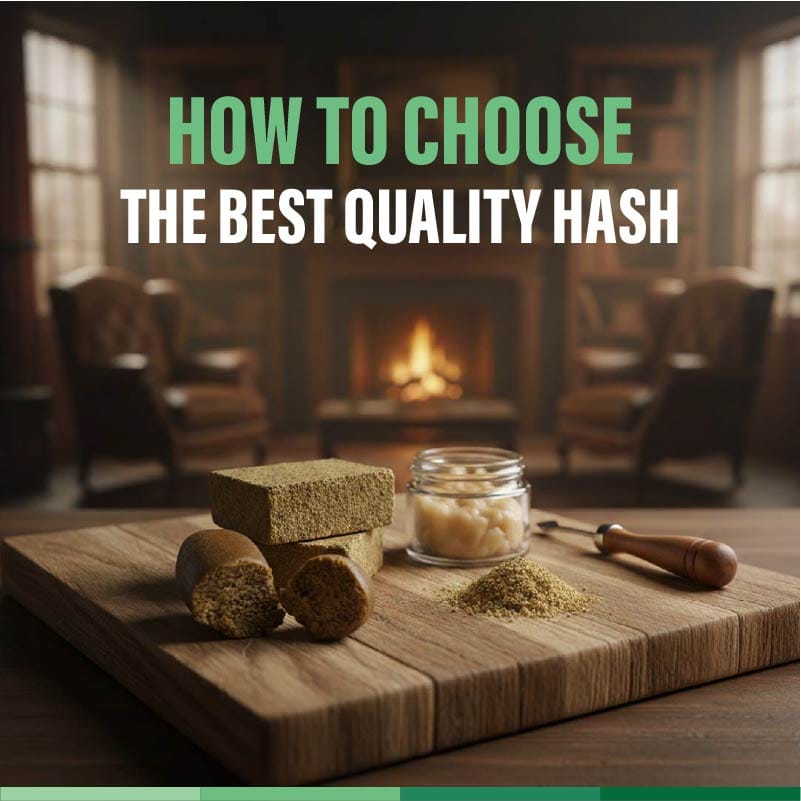 best hash canada