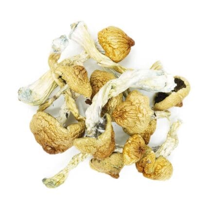 blue meanies magic shrooms