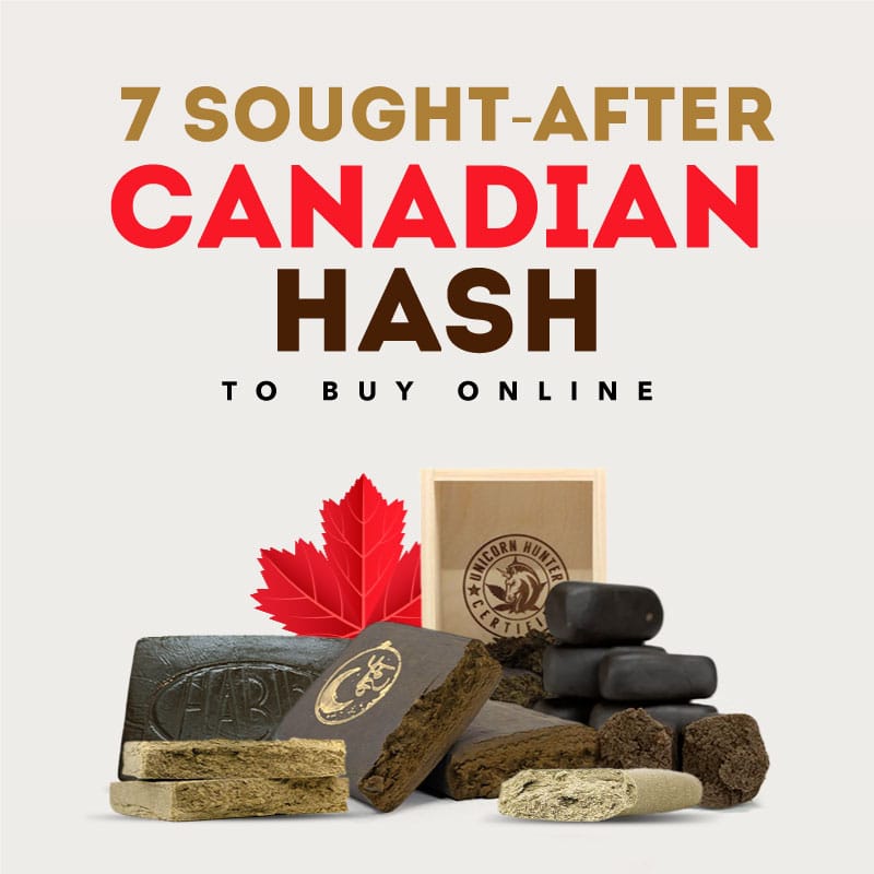 canadian favourite hash to buy online