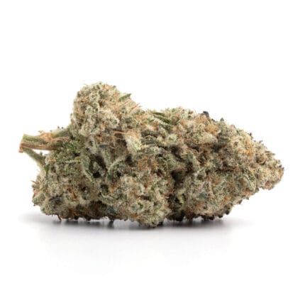donkey butter1