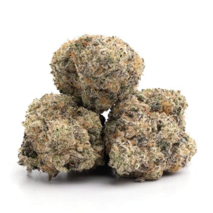 donkey butter3
