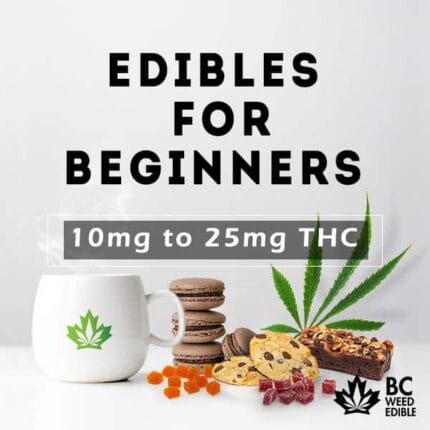 edible bundle beginners
