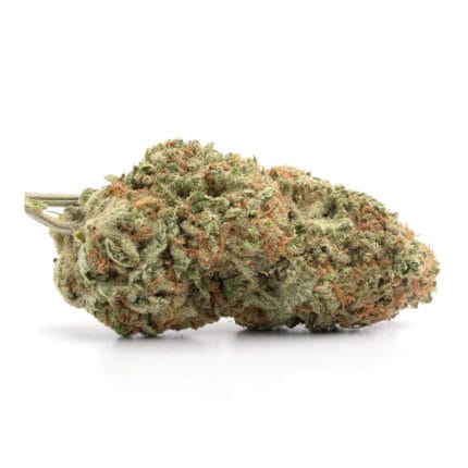 guava strain 1