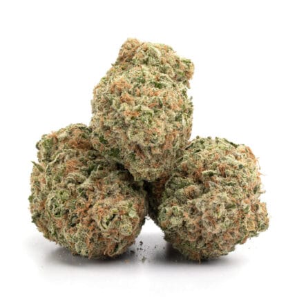 guava strain 3
