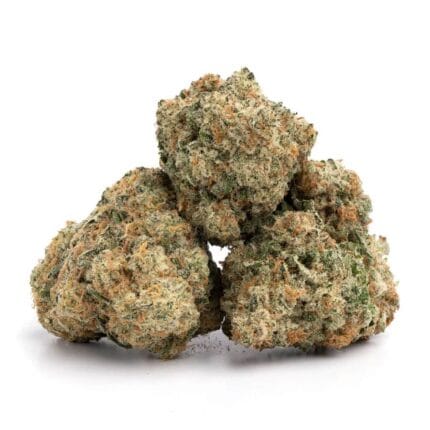 pineapple xpress2