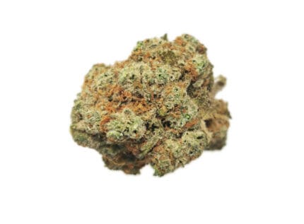 super lemon haze strain2