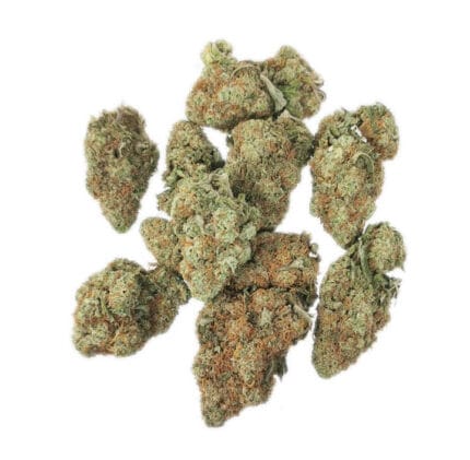 super lemon haze strain4