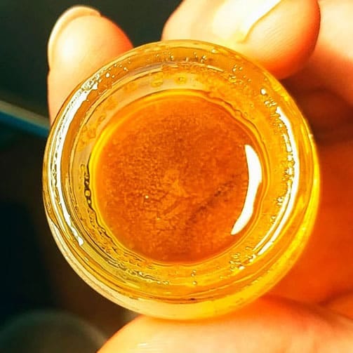terp sauce canada