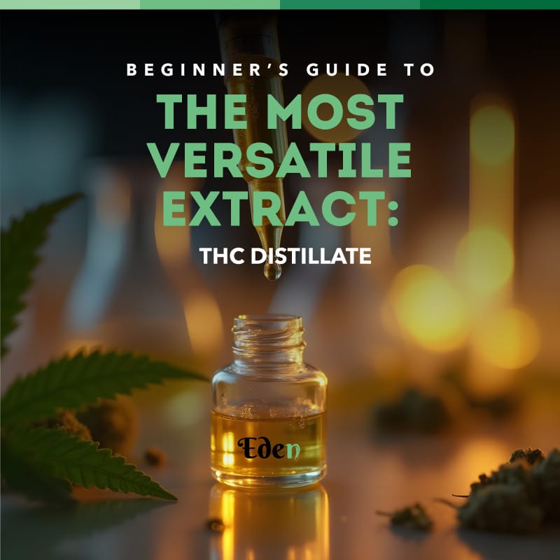 thc distillate guide